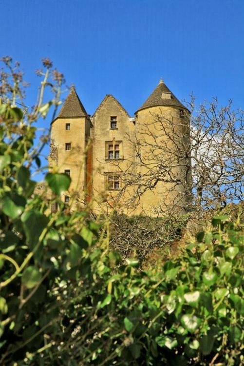 Petite Maison En Pierre Au Coeur Du Perigord Noir Salignac Eyvigues Εξωτερικό φωτογραφία