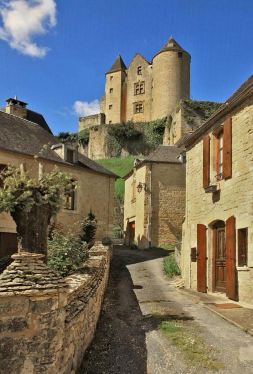 Petite Maison En Pierre Au Coeur Du Perigord Noir Salignac Eyvigues Εξωτερικό φωτογραφία